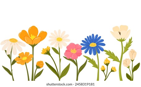 Horizontal white banner or floral backdrop decorated with gorgeous multicolored blooming flowers and leaves border. Spring botanical flat vector illustration on white background