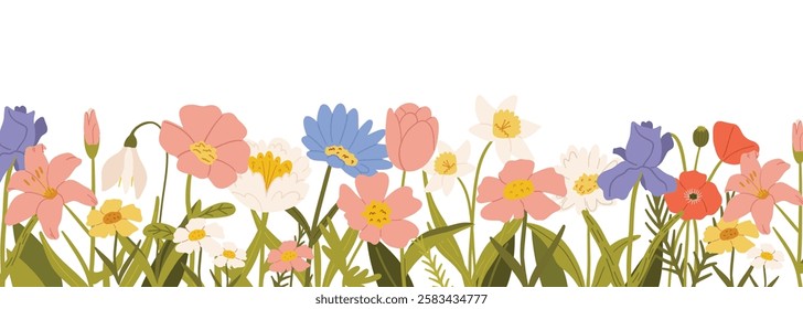 Horizontal white banner or floral background decorated with gorgeous colorful blooming flowers and leaf border. Spring botanical vector illustration on white background