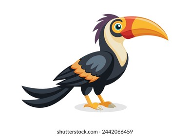Hormbill Bird vector illustration on white background