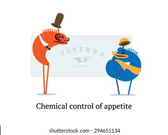 Hormonal Regulation Of Appetite. Chemical Control Of Appetite. Steroid Hormones Ghrelin And Leptin Vector Illustration.