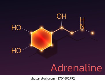 Hormona Adrenalina, fórmula molecular. Ilustración vectorial.