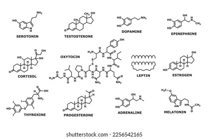 Hormone formula. Medicine, chemistry and biochemistry science research line symbols, human man and woman hormones formulas. Oxytocin and leptin, thyroxine, progesterone and adrenaline atom structure