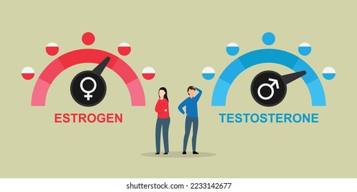 Ilustración vectorial de nivel hormonal, Estrogen y Testosterona 2d para banner, sitio web, ilustración, página de aterrizaje, volante, etc