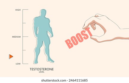 Hormone testosterone level measuring scale with muscular man silhouette. Hand holding boost word. Testosterone boosting