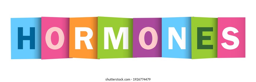HORMONES colorful vector typography banner isolated on white background