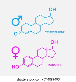 Hormones: estradiol and testosterone