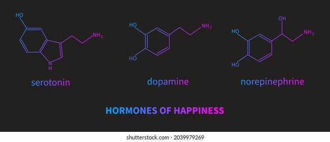 Hormones of happiness - serotonin, dopamine, norepinephrine. Formula of  neurotransmitter. Brain and psychiatry. Vector illustration