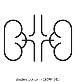 Hormones kidneys icon. Outline Hormones kidneys vector icon for web design isolated on white background