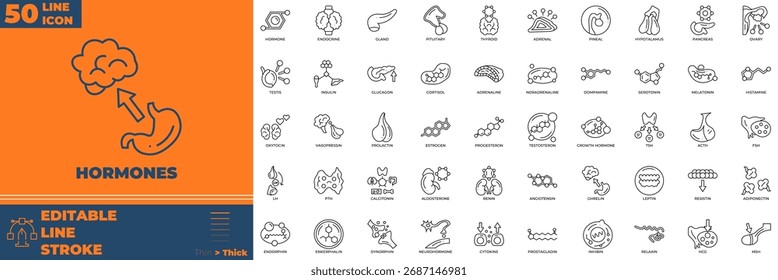Hormones Line Editable Icons set. Vector illustration in modern thin line style of hormones icons: molecular, science, stroke, etc