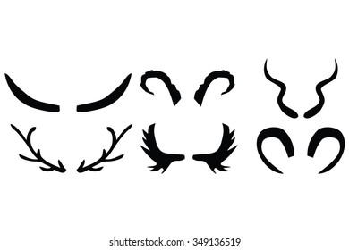 Horn animals black