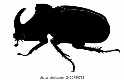 The horn beetle is black on a white background