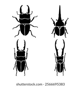 Horn beetle silhouette Flying insects wildlife