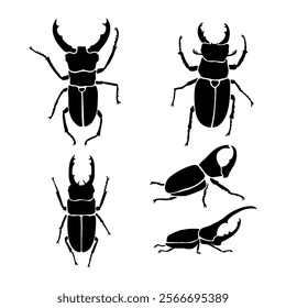 Horn beetle silhouette Flying insects wildlife collection