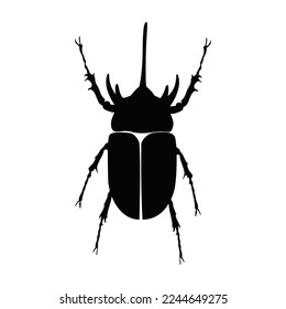 horn beetle silhouette vector. Flying insects, wildlife.