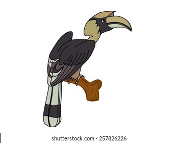 Horn bill