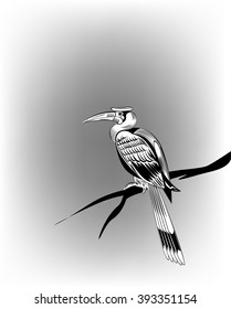 Horn bill,
Horn bill,   All elements are in separate layers color can be changed easily 