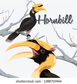 Horn bill on branch vector Illustration 