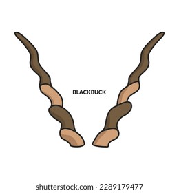 Horn blackbuck vector icon.Color vector icon isolated on white background horn blackbuck.