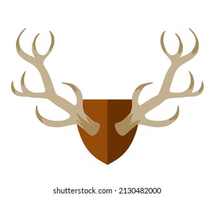 Horn of deer. Hunting trophy. Wall decoration element. Part of the stag animal head