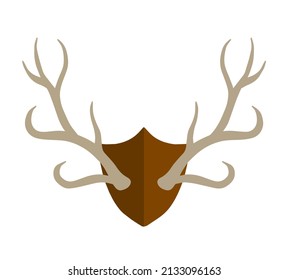 Horn of deer. Hunting trophy. Wall decoration element. Part of the stag animal head