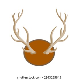 Horn of deer. Hunting trophy. Wall decoration element. Part of the stag animal head