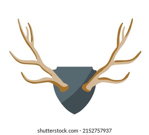 Horn of deer. Hunting trophy. Wall decoration element. Part of the stag animal head