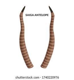 Horn saga antelope vector icon.Cartoon vector icon isolated on white background horn saga antelope.