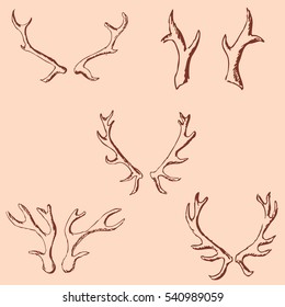 Horn sketch of a deer. Pencil drawing by hand. Vintage colors. Vector