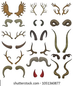 Horn vector horned wild animal and deer or antelope antlers illustration set of horny hunting trophy of reindeer isolated on white background.