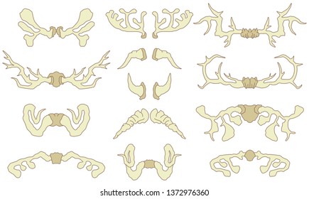 Horn vector. Horned wild animal and deer or antelope antlers illustration set of horny hunting trophy of reindeer isolated on white background. Vector
