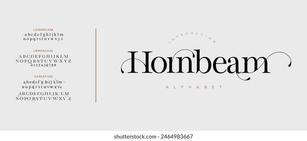 Hornbeam elegant font alphabet uppercase lowercase and number. Classic lettering minimal fashion designs. Typography modern serif fonts regular decorative vintage concept. Vector illustration