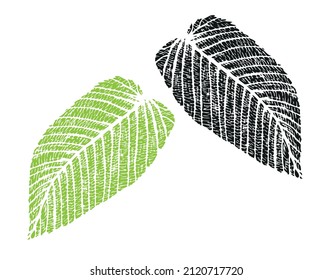 Hornbeam leaf, impresión botánica para el diseño de diarios de plantas