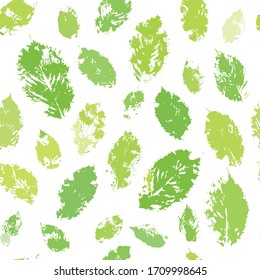 Las hojas de hélice imprimen un patrón transparente en colores verdes de primavera frescos