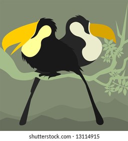 hornbill