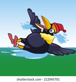 hornbill