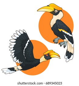 Hornbill Bird Cartoon Set