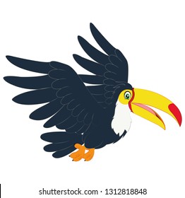 Hornbill bird cartoon - Vector