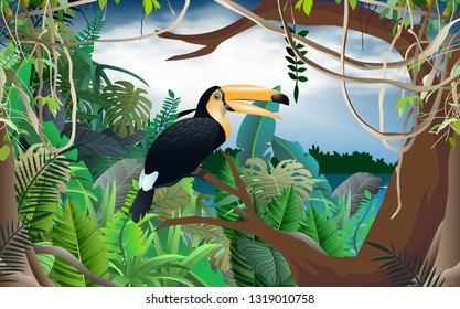 Hornbill bird in the jungle