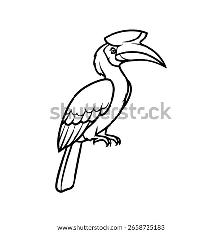 hornbill bird outline drawing vector illustration	