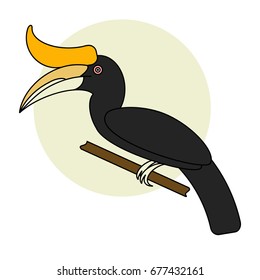 Hornbill bird. Vector cartoon tropical bird made in flat style. Isolated on white background.