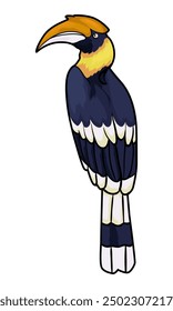 hornbill bird with white background