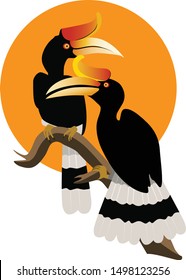 Hornbill birds are beautiful bird and faithful to the couple themselves.