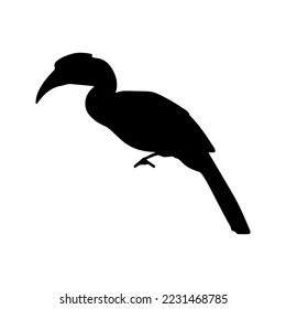 hornbill black and white silhouette icon