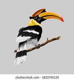 Hornbill bright tropical bird with an incredible yellow beak.Hornbill sitting on a branch. Vector illustration.Isolated