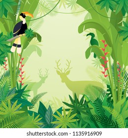 Hornbill and Deer in Tropical Jungle Background, Forrest, Rainforest, Plant and Nature 