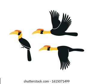 Hornbill logo. Kalao. Isolated hornbill on white background 