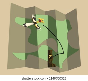 hornbill map vector illustration 