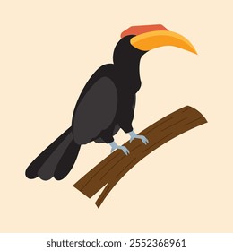  A hornbill perched on a branch against a plain beige background.