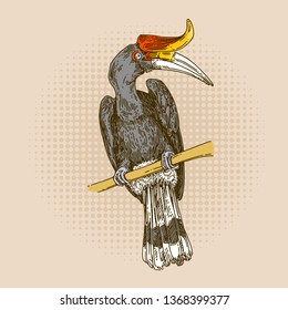 Hornbill sitting on branch tree. Color card. Engraving style. Vector illustration.