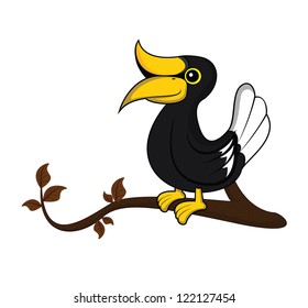 hornbill tree